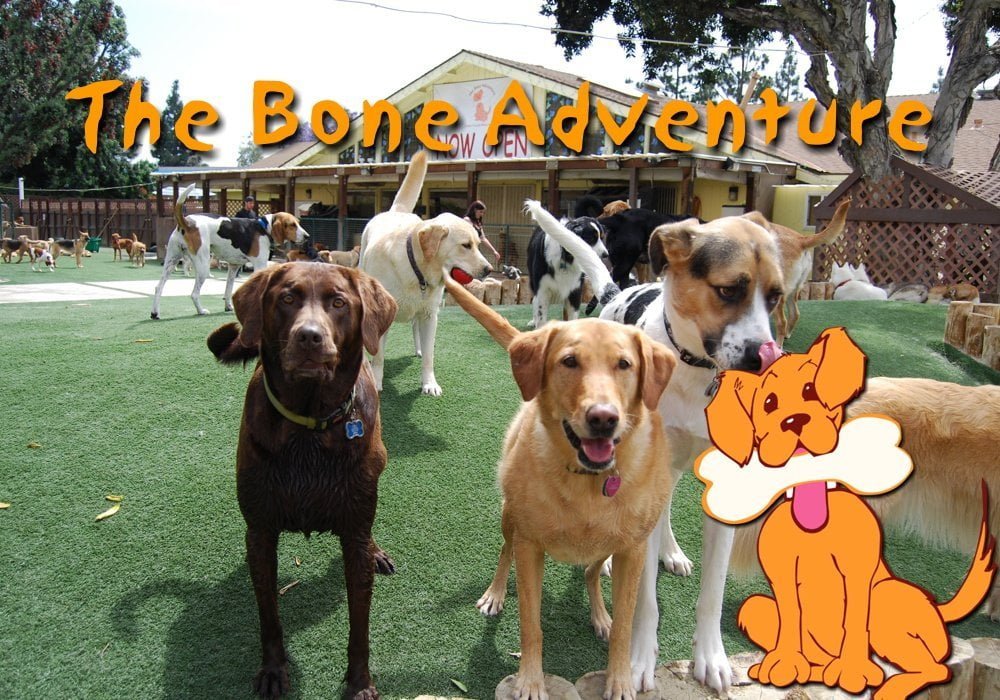 The Boneadventure 9